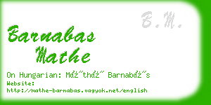 barnabas mathe business card
